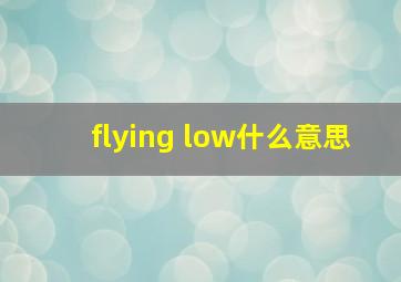 flying low什么意思